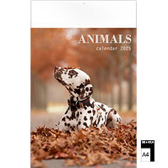 Muurkalender 2025 Animals 30 x 47
