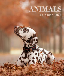 Muurkalender 2024 Animals 13p A4 A3 Cover