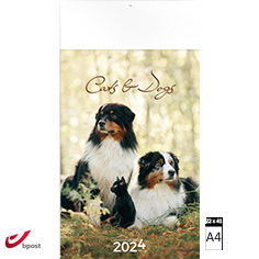 Muurkalender 2023 Cats & Dogs 22 x 41