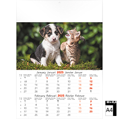 Muurkalender 2025 Cats & Dogs 6 bladen