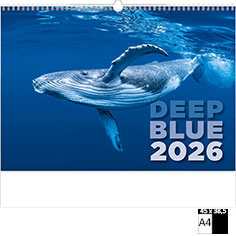Muurkalender Deco 2026 Deep Blue