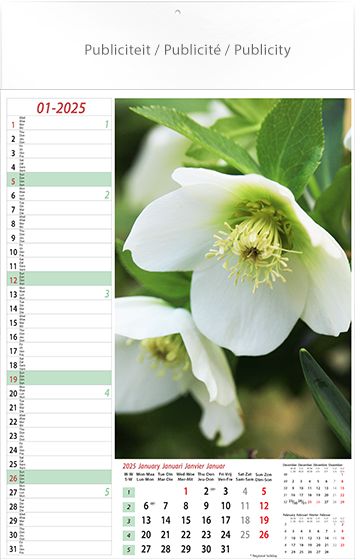 Muurkalender 2024 Flowers 13p 30x47cm