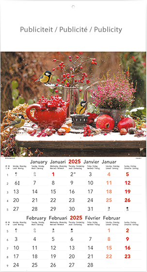 Muurkalender 2025 Flowers 6p 22x41