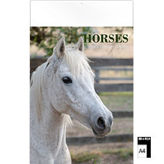 Muurkalender 2025 Horses 30 x 47