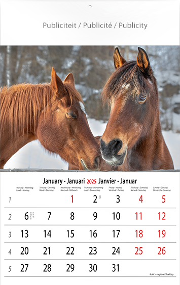 Muurkalender 2025 Horses 13p 30x47cm