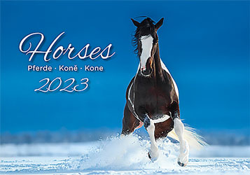 Muurkalender 2023 Horses 13p 45x38cm Cover