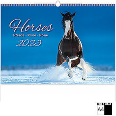 Muurkalender Deco 2023 Horses