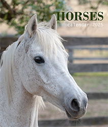Muurkalender 2024 Horses 13p A4 A3 Cover