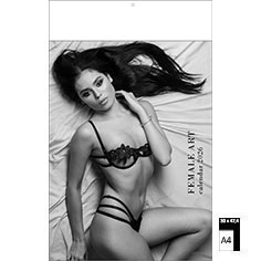 Muurkalender Pin-up 2026 Art