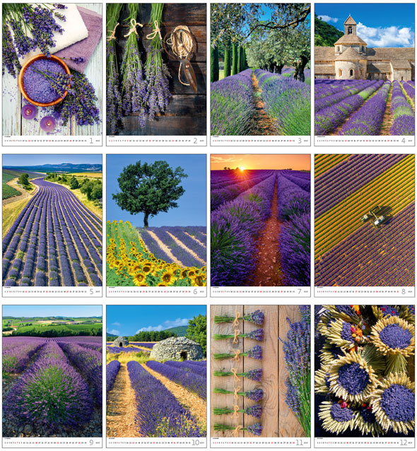 Muurkalender 2025 Provence 13p 31x52cm Prenten