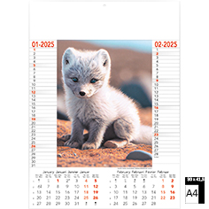 Muurkalender 2025 Wild & Free 6 bladen