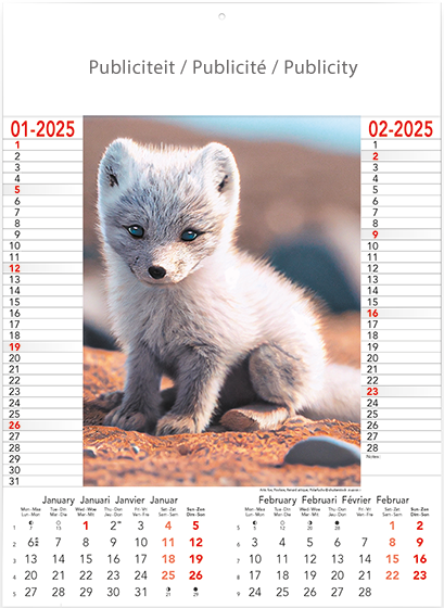 Muurkalender 2025 Wild & Free 6p 30x41