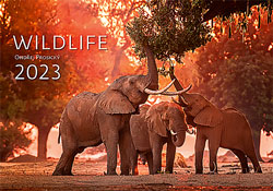 Muurkalender 2023 Wildlife 13p 48x41cm Cover