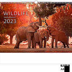 Muurkalender 2023 Luxe Wildlife